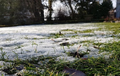 Schnee auf Rasen - Weihnachtsgrüsse